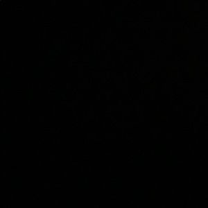 Meet your Posher, Eliza jane